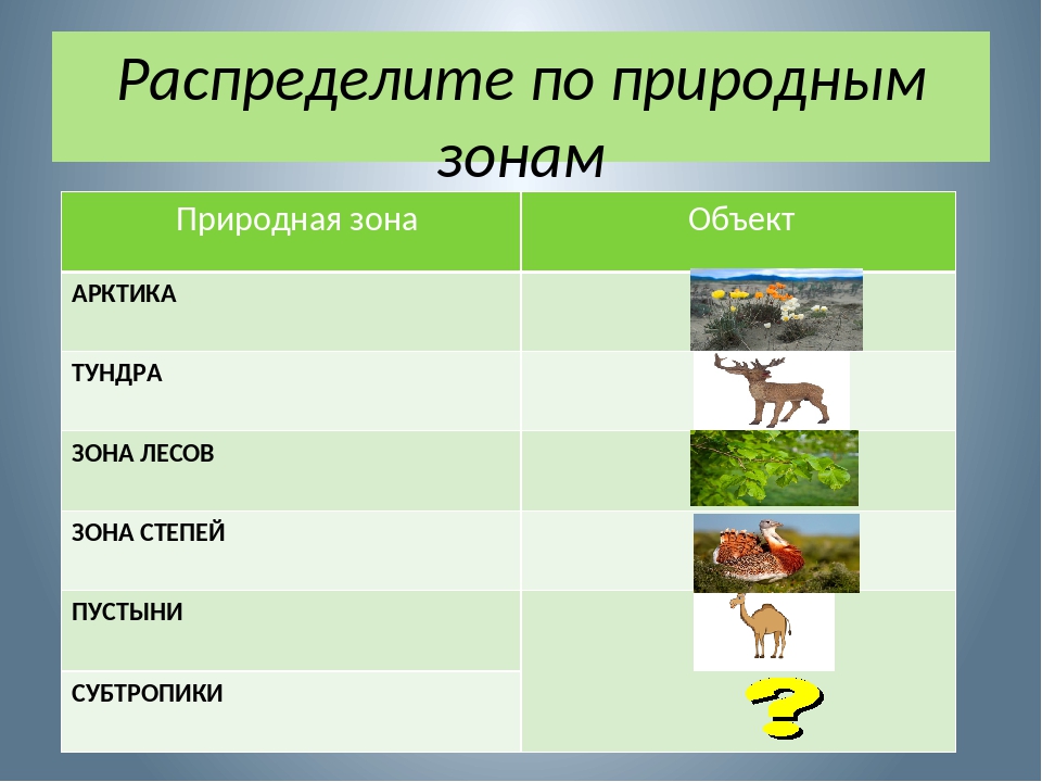 Природные зоны 5 класс презентация. Животные и растения природных зон России. Растения разных природных зон. Животные различных природных зон. Распредели животные по природным зонам.