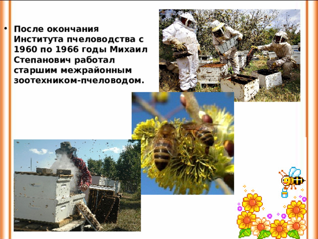 После окончания Института пчеловодства с 1960 по 1966 годы Михаил Степанович работал старшим межрайонным зоотехником-пчеловодом.   