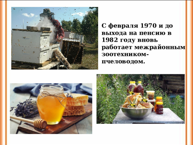 С февраля 1970 и до выхода на пенсию в 1982 году вновь работает межрайонным зоотехником-пчеловодом.   
