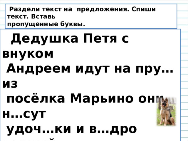  Раздели текст на предложения. Спиши текст. Вставь пропущенные буквы.  Дедушка Петя с внуком  Андреем идут на пру… из  посёлка Марьино они н…сут  удоч…ки и в…дро верный  дру… собака Амур б…жит  рядом. 