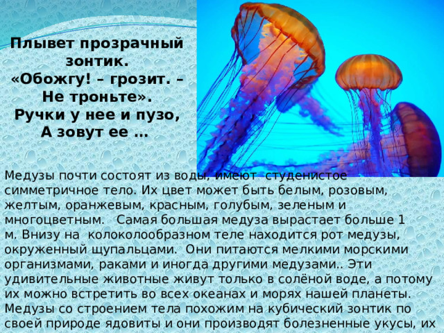 Плывет прозрачный зонтик. «Обожгу! – грозит. – Не троньте». Ручки у нее и пузо, А зовут ее … Медузы почти состоят из воды, имеют  студенистое симметричное тело. Их цвет может быть белым, розовым, желтым, оранжевым, красным, голубым, зеленым и многоцветным.  Самая большая медуза вырастает больше 1 м. Внизу на колоколообразном теле находится рот медузы, окруженный щупальцами. Они питаются мелкими морскими организмами, раками и иногда другими медузами.. Эти удивительные животные живут только в солёной воде, а потому их можно встретить во всех океанах и морях нашей планеты. Медузы со строением тела похожим на кубический зонтик по своей природе ядовиты и они производят болезненные укусы, их нужно остерегаться. 