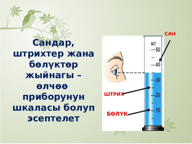 САН Сандар, штрихтер жана бөлүктөр жыйнагы – өлчөө приборунун шкаласы болуп эсептелет ШТРИХ БӨЛҮК 