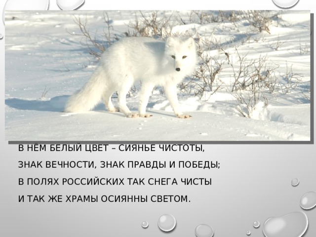 В НЁМ БЕЛЫЙ ЦВЕТ – СИЯНЬЕ ЧИСТОТЫ, ЗНАК ВЕЧНОСТИ, ЗНАК ПРАВДЫ И ПОБЕДЫ; В ПОЛЯХ РОССИЙСКИХ ТАК СНЕГА ЧИСТЫ И ТАК ЖЕ ХРАМЫ ОСИЯННЫ СВЕТОМ. 