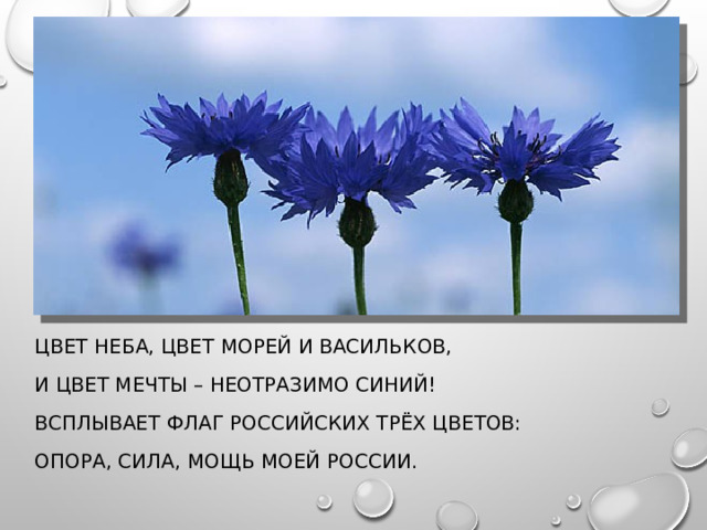 ЦВЕТ НЕБА, ЦВЕТ МОРЕЙ И ВАСИЛЬКОВ, И ЦВЕТ МЕЧТЫ – НЕОТРАЗИМО СИНИЙ! ВСПЛЫВАЕТ ФЛАГ РОССИЙСКИХ ТРЁХ ЦВЕТОВ: ОПОРА, СИЛА, МОЩЬ МОЕЙ РОССИИ. 