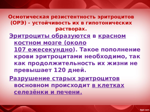 Осмотическая резистентность эритроцитов (ОРЭ) - устойчивость их в гипотонических растворах. Эритроциты образуются в красном костном мозге (около 107 ежесекундно ). Такое пополнение крови эритроцитами необходимо, так как продолжительность их жизни не превышает 120 дней. Разрушение старых эритроцитов восновном происходит в клетках селезёнки и печени. 