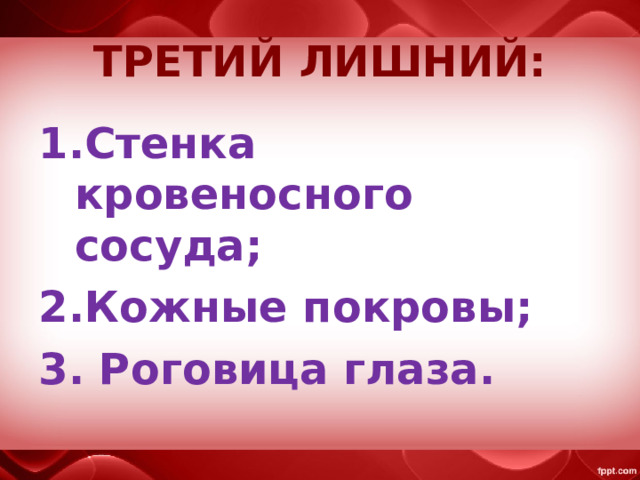 ТРЕТИЙ ЛИШНИЙ: Стенка кровеносного сосуда; Кожные покровы; 3. Роговица глаза. 