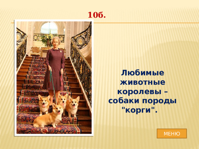 10б. Любимые животные королевы – собаки породы 
