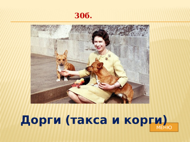 30б. Дорги (такса и корги) МЕНЮ 