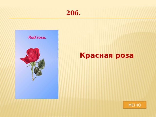 20б. Красная роза МЕНЮ 