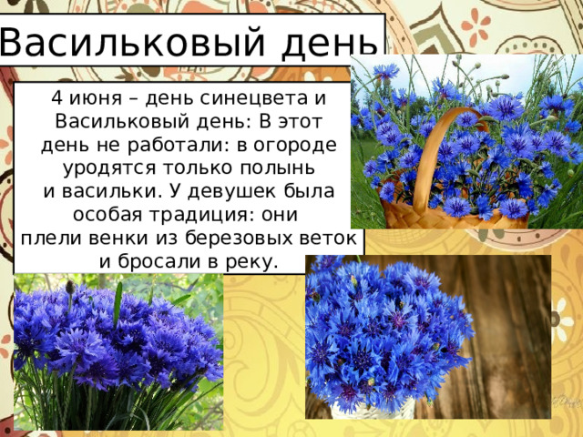 Васильковый  день 4 июня – день синецвета и Васильковый день: В этот день не работали: в огороде уродятся только полынь и васильки. У девушек была особая традиция: они плели венки из березовых веток и бросали в реку. 