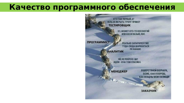 Качество программного обеспечения 