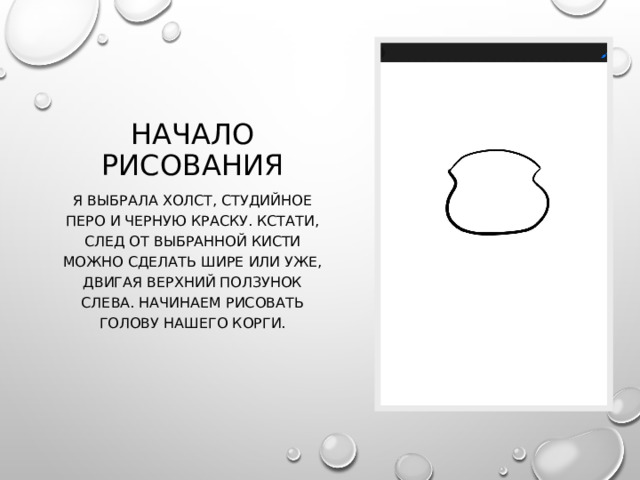 Начало рисования Я выбрала холст, студийное перо и черную краску. Кстати, след от выбранной кисти можно сделать шире или уже, двигая верхний ползунок слева. Начинаем рисовать голову нашего корги. 
