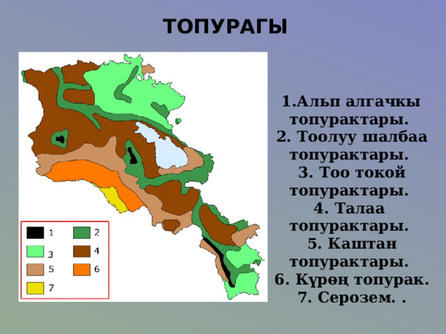 ТОПУРАГЫ  1.Альп алгачкы топурактары.  2. Тоолуу шалбаа топурактары.  3. Тоо токой топурактары. 4. Талаа топурактары.  5. Каштан топурактары.  6. Күрөң топурак.  7. Серозем. . 