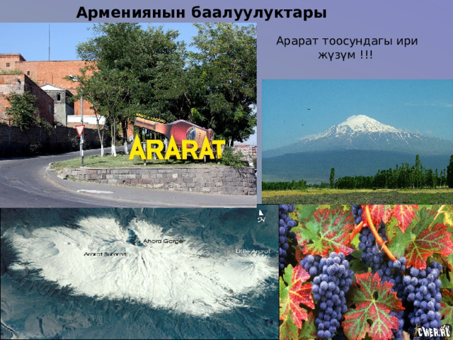  Армениянын баалуулуктары  Арарат тоосундагы ири жүзүм !!! 