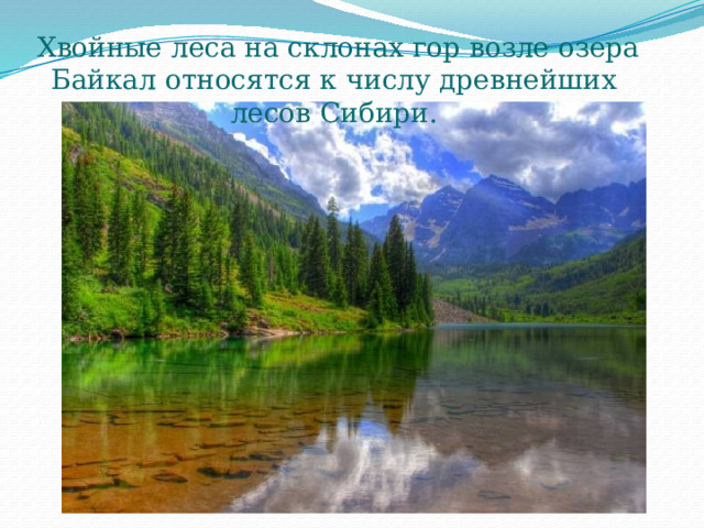 Хвойные леса на склонах гор возле озера Байкал относятся к числу древнейших лесов Сибири. 