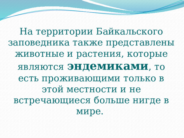 На территории Байкальского заповедника также представлены животные и растения, которые являются эндемиками , то есть проживающими только в этой местности и не встречающиеся больше нигде в мире. 