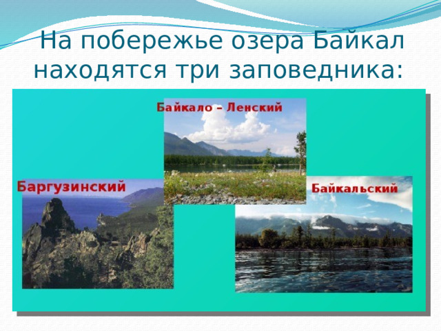 На побережье озера Байкал находятся три заповедника: 