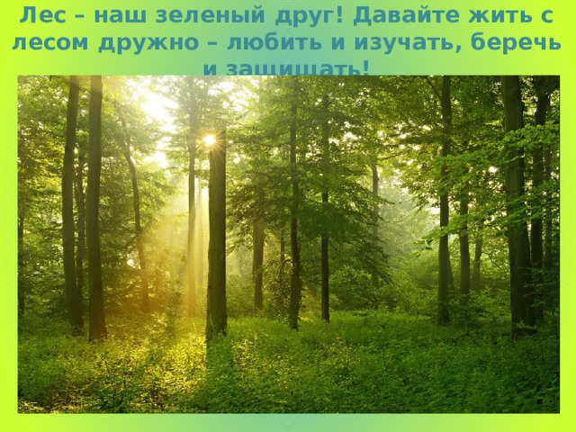 Лес – наш зеленый друг! Давайте жить с лесом дружно – любить и изучать, беречь и защищать! 