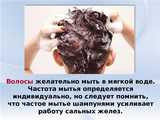 Волосы желательно мыть в мягкой воде. Частота мытья определяется индивидуально, но следует помнить, что частое мытье шампунями усиливает работу сальных желез. 