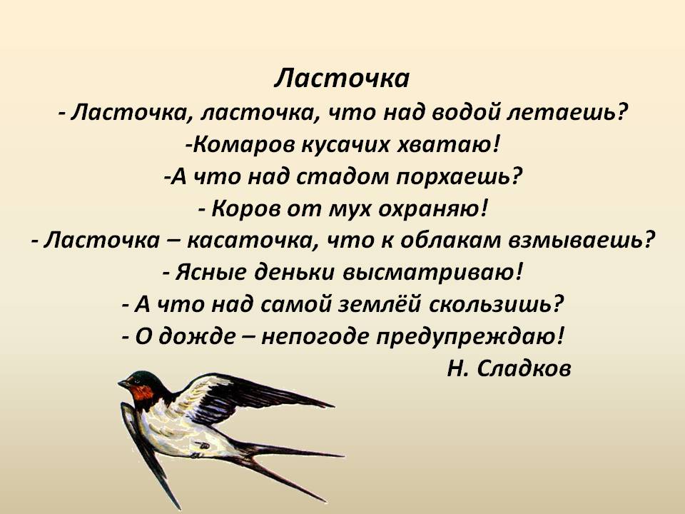 Кто написал стихотворение ласточка. Ласточка для детей. Ласточка стихотворение. Стих про ласточку. Стихи про птиц Ласточка.