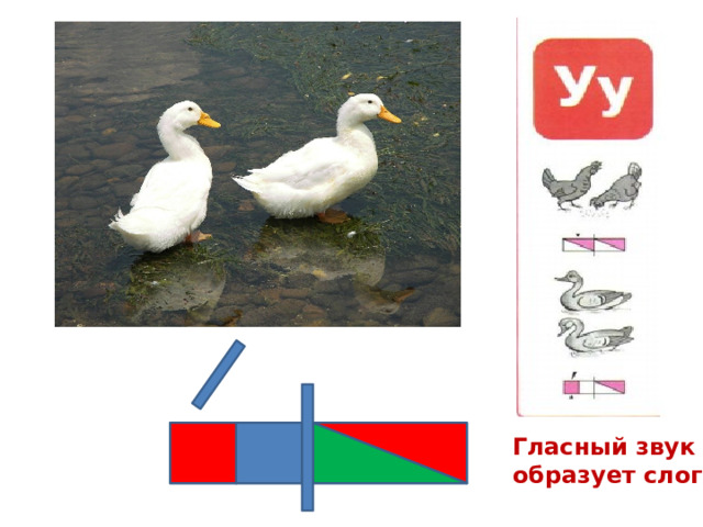 Гласный звук образует слог.  