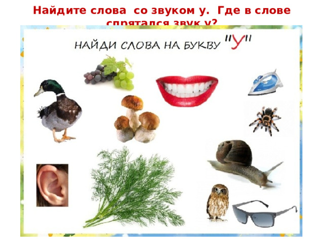 Найдите слова со звуком у. Где в слове спрятался звук у? 
