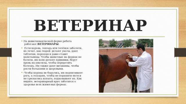 ВЕТЕРИНАР На животноводческой ферме ребята  работают ВЕТЕРИНАРЫ .   Если корова, лошадь или телёнок заболели, их лечат, как людей: делают уколы, дают таблетки, порошки и даже ставят капельницы. Чтобы животные на фермах не болели, им всем делают прививки, берут кровь на анализы, чтобы определить болезнь. Им также дают витамины, чтобы росли большими и здоровыми. -Чтобы коровы не бодались, им подпиливают рога, а лошадям, чтобы не поранили ноги и не трескались копыта, подковывают их. Как видите, ветеринарный врач заботится о здоровье всех животных фермах. 