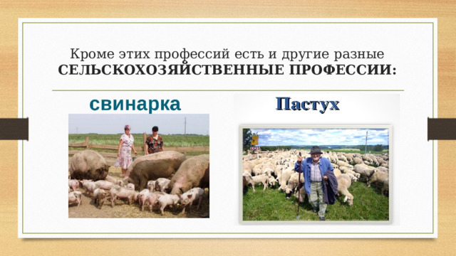 Кроме этих профессий есть и другие разные СЕЛЬСКОХОЗЯЙСТВЕННЫЕ ПРОФЕССИИ: 