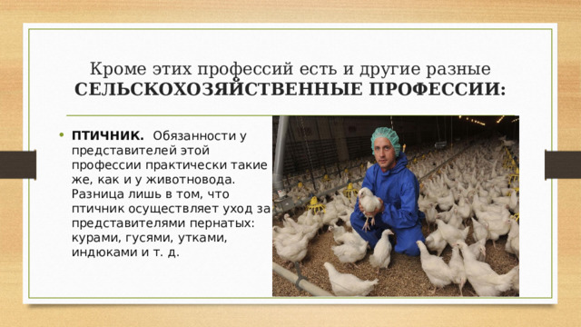 Кроме этих профессий есть и другие разные СЕЛЬСКОХОЗЯЙСТВЕННЫЕ ПРОФЕССИИ: ПТИЧНИК. Обязанности у представителей этой профессии практически такие же, как и у животновода. Разница лишь в том, что птичник осуществляет уход за представителями пернатых: курами, гусями, утками, индюками и т. д. 