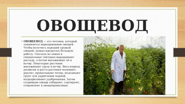 ОВОЩЕВОД ОВОЩЕВОД — это человек, который занимается выращиванием овощей. Чтобы получить хороший урожай овощей, нужно проделать большую работу. Сначала из семян в специальных теплицах выращивают рассаду, а потом высаживают её в почву. Некоторые растения высаживают сразу в почву. Весь период развития и роста растения поливают, рыхлят, пропалывают почву, подсыпают грунт для укрепления корней, подкармливают удобрениями. Затем созревшие овощи собирают, сортируют, отправляют в овощехранилище. 