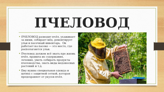 ПЧЕЛОВОД ПЧЕЛОВОД разводит пчёл, ухаживает за ними, собирает мёд, ремонтирует ульи и пасечный инвентарь. Он работает на пасеке — это место, где располагаются ульи. Пчеловод должен всё знать про жизнь пчёл, правила их содержания, лечения, уметь собирать продукты пчеловодства, знать виды медоносных растений и т.д. Ему нужна специальная одежда и шляпа с защитной сеткой, которая предохраняет от укусов пчёл. 