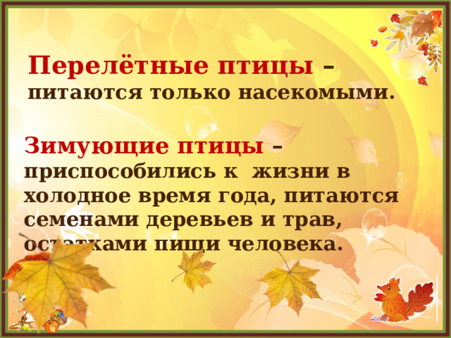 Перелётные птицы – питаются только насекомыми. Зимующие птицы – приспособились к жизни в холодное время года, питаются семенами деревьев и трав, остатками пищи человека. 