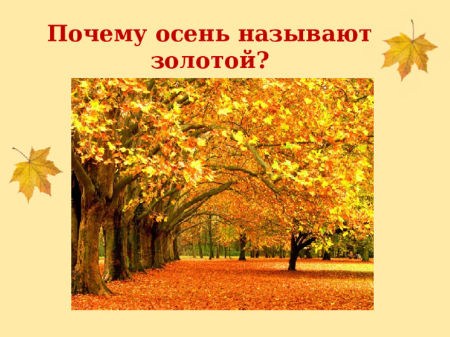 Почему осень называют золотой? 