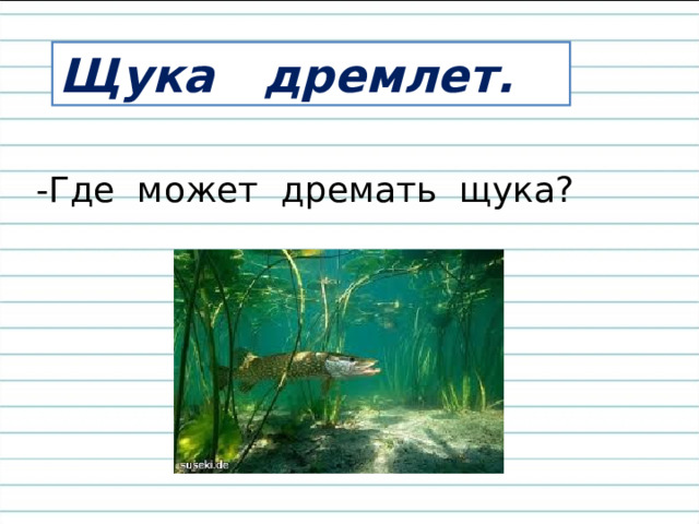 Щука дремлет. -Где может дремать щука? 