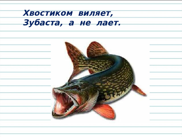 Хвостиком виляет, Зубаста, а не лает. 