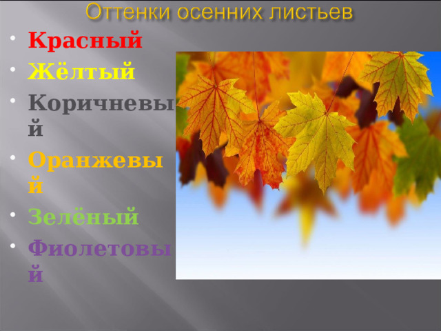 Красный Жёлтый Коричневый Оранжевый Зелёный Фиолетовый  