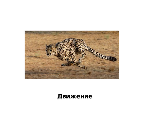 Движение 