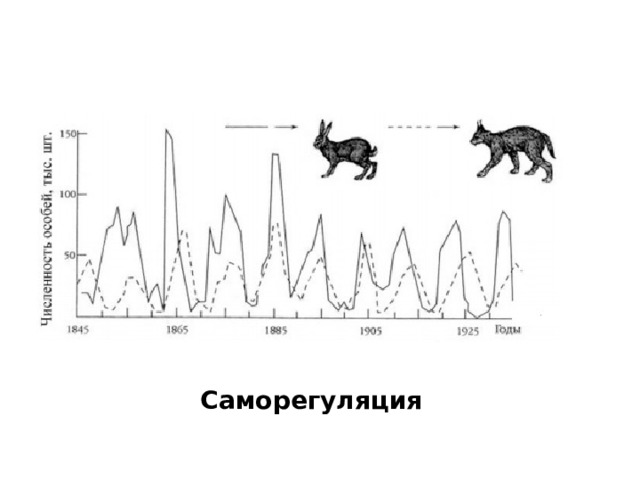 Саморегуляция 