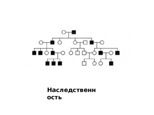 Наследственность 