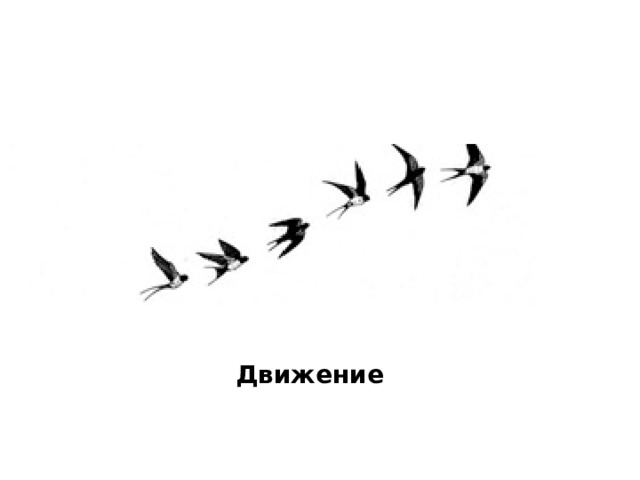 Движение 