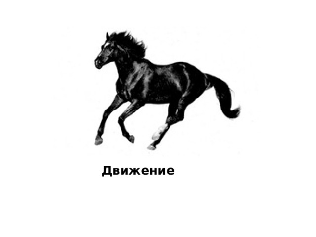 Движение 