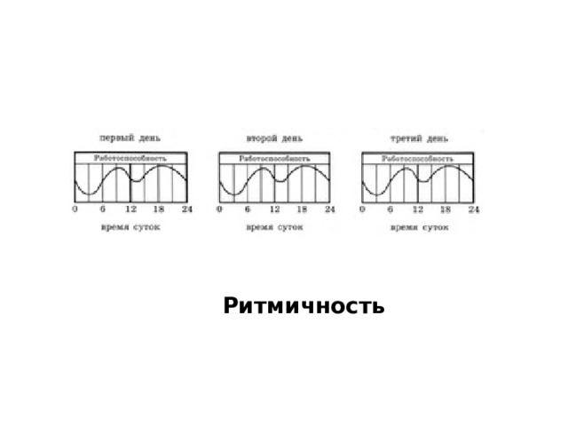 Ритмичность 