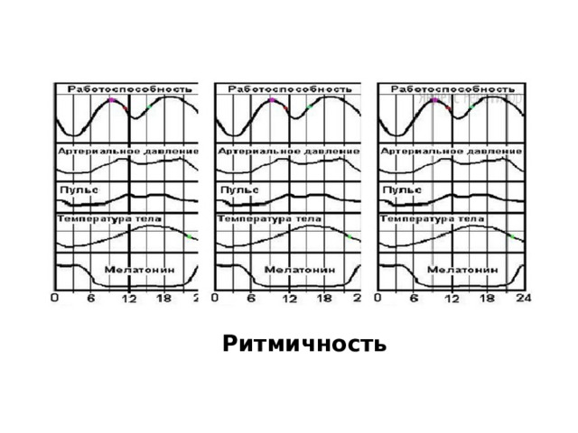 Ритмичность 