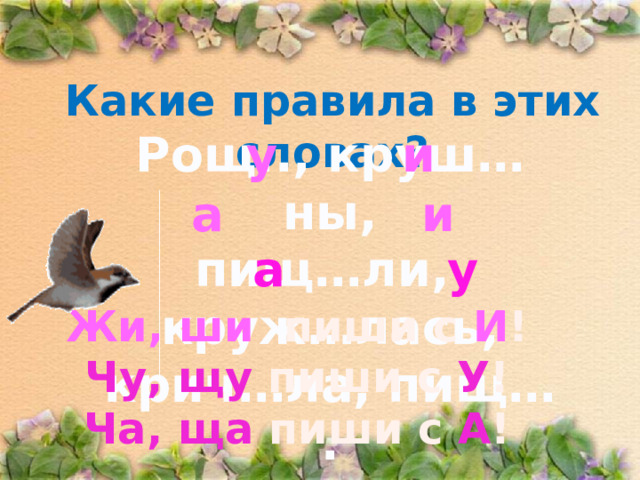 Какие правила в этих словах? Рощ.., круш…ны, у и пищ…ли, круж…лась, крич…ла, пищ… .  а и а у Жи, ши пиши с И ! Чу, щу пиши с У ! Ча, ща пиши с А ! 