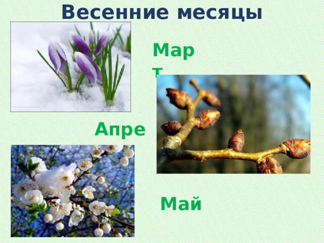 Времена года
