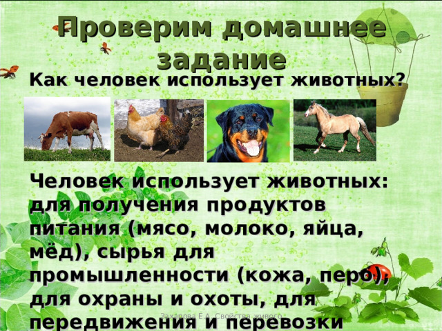 Значение животных 5 класс