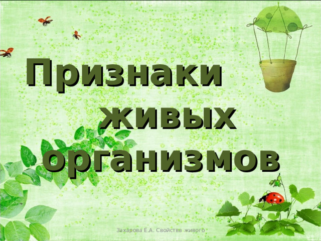 5 признаков живого биология. Признаки живых организмов 5 класс. Признаки живых организмов биология 5 класс. Общие признаки живых организмов 5 класс биология. Признаки живого 5 класс биология.