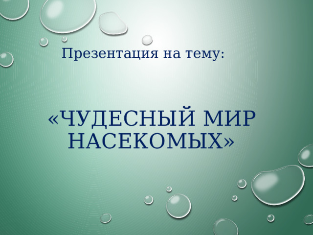 Презентация на тему: «Чудесный мир насекомых» 