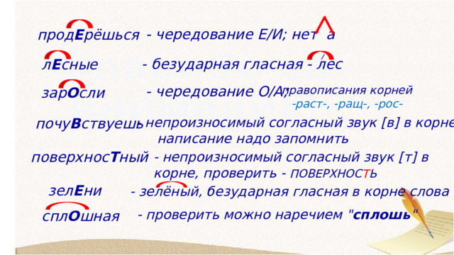 - чередование Е/И; нет а прод Е рёшься / - безударная гласная - лес л Е сные - чередование О/А; правописания корней -раст-, -ращ-, -рос- зар О сли - непроизносимый согласный звук [в] в корне,  написание надо запомнить почу В ствуешь поверхнос Т ный - непроизносимый согласный звук [т] в корне, проверить - ПОВЕРХНОС Т Ь зел Е ни - зелёный, безударная гласная в корне слова - проверить можно наречием 