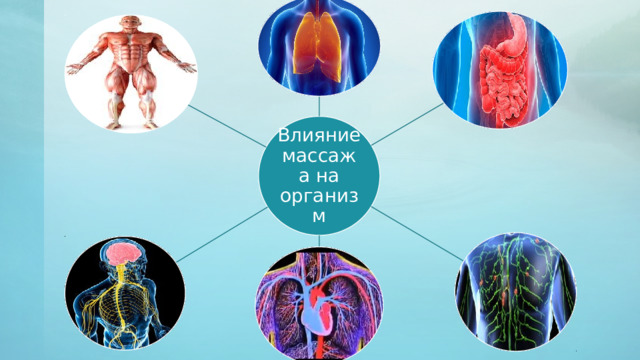 Общие основы массажа. Влияние массажа на организм человека